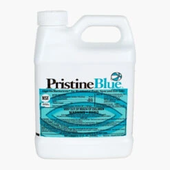 Pristine Blue -AquaHaven Shop 12232
