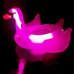 Swimline Giant LED Light-Up Swan Ride-On -AquaHaven Shop giant led light up swan ride on by swimline 8