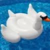 Swimline Giant Swan -AquaHaven Shop swimline giant swan ride on 38
